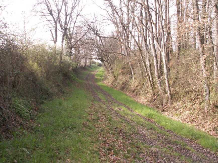 3 Le sentier du coté de Gragnague